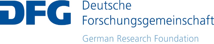 International DFG Logo