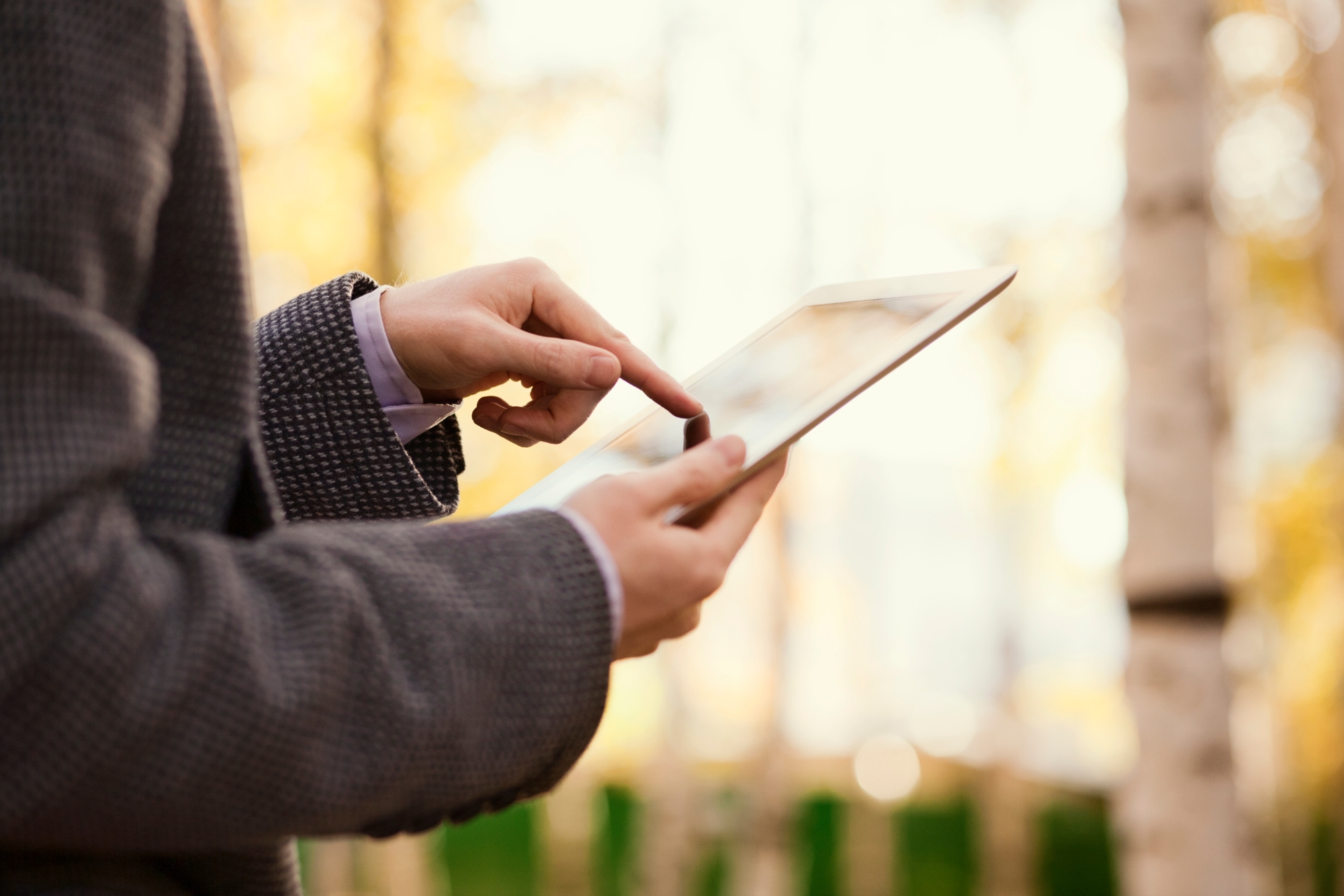 Someone searching on a tablet